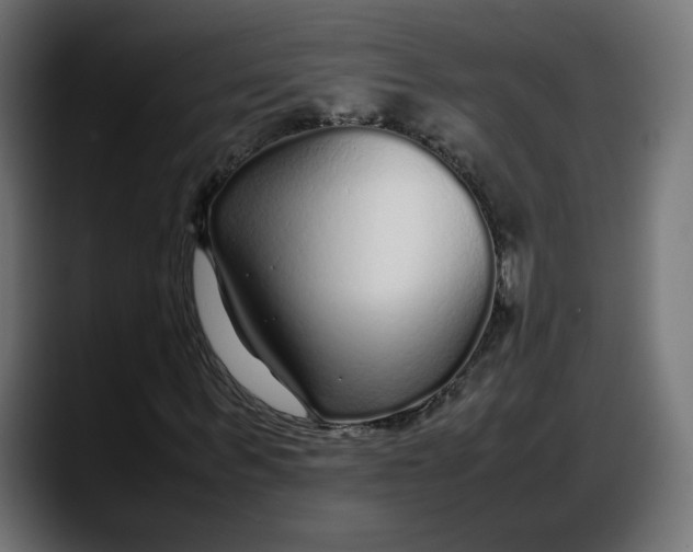 X0000087750963200705291030