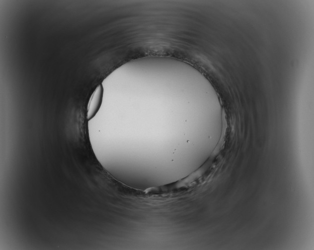 X0000087750964200705291030