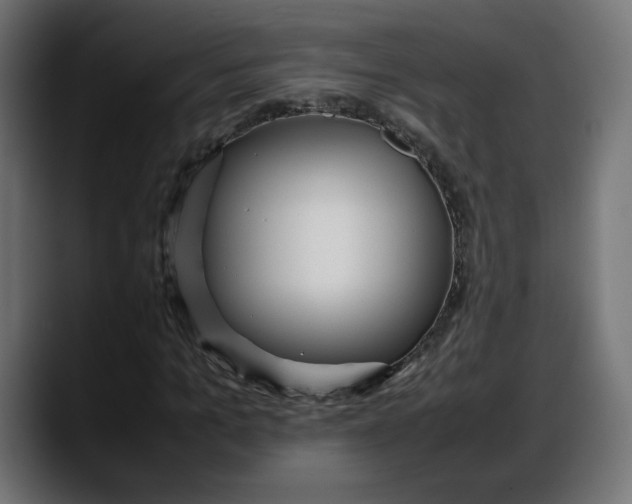 X0000087750965200705291030