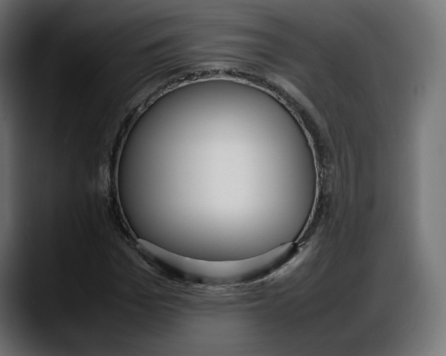 X0000087750969200705291030