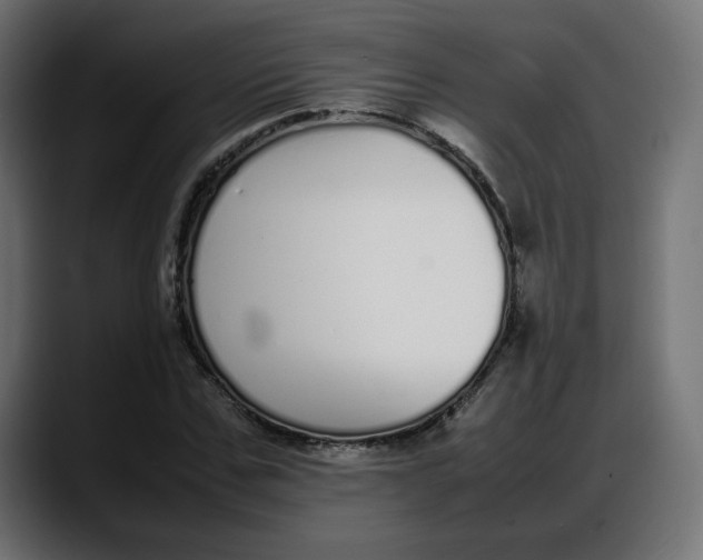 X0000087750971200705291030