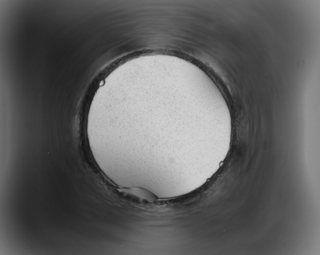 X0000087750975200705291030