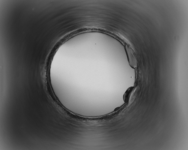 X0000087750976200705291030