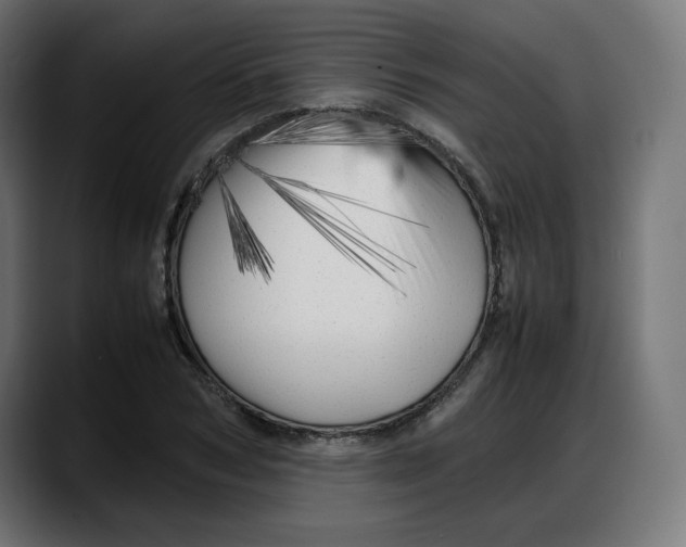 X0000087750978200705291030