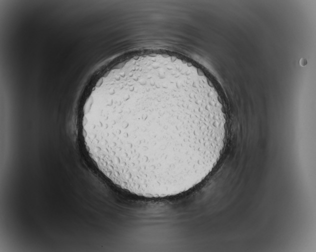 X0000087750979200705291030