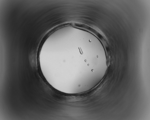 X0000087750980200705291030