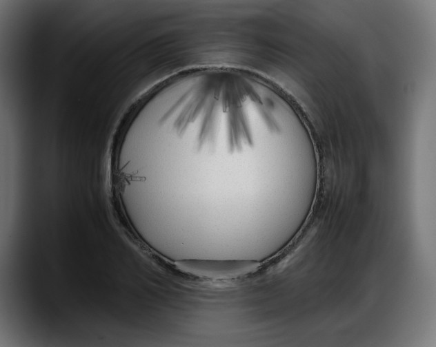 X0000087750982200705291030