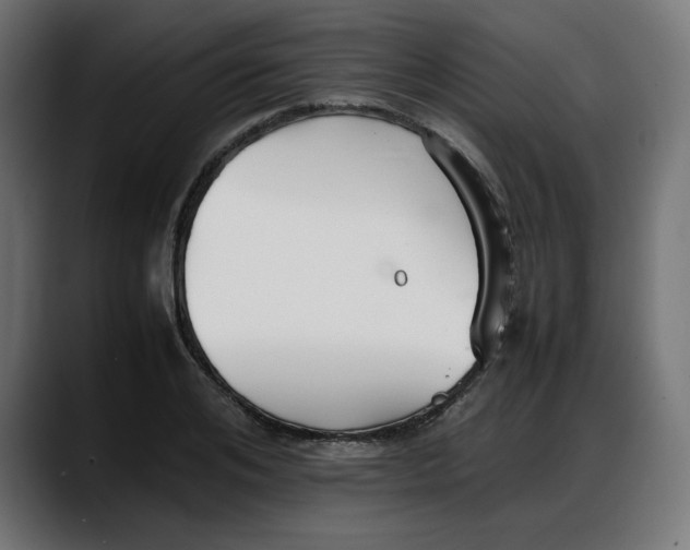 X0000087750984200705291030