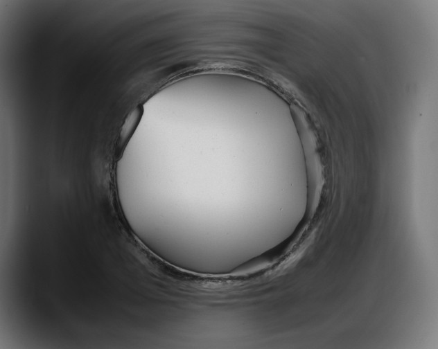 X0000087750985200705291030