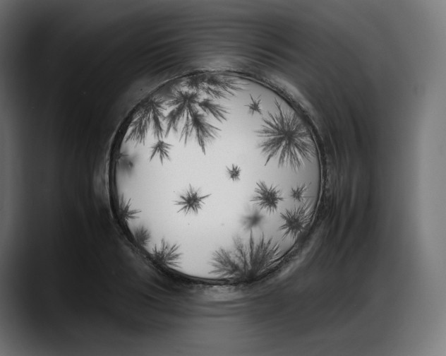 X0000087750986200705291030