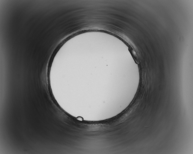 X0000087750988200705291030