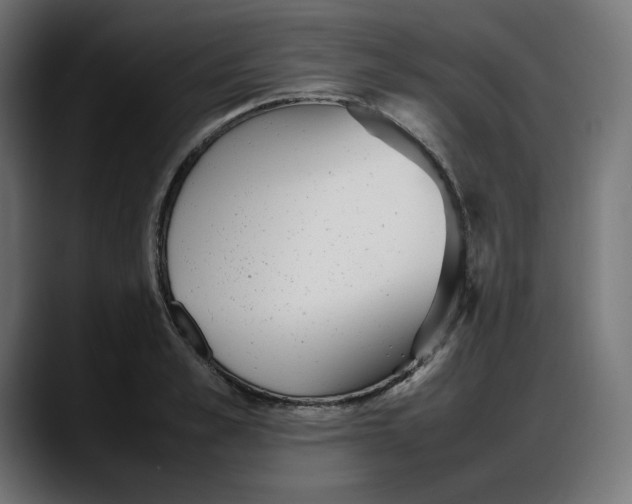 X0000087750989200705291030