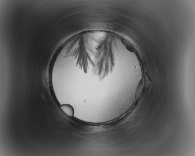 X0000087750990200705291030