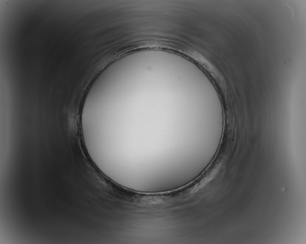 X0000087750993200705291030