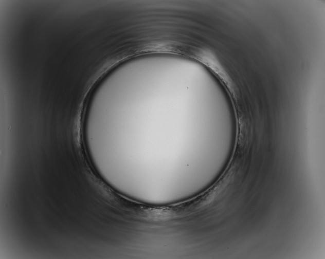 X0000087750994200705291030