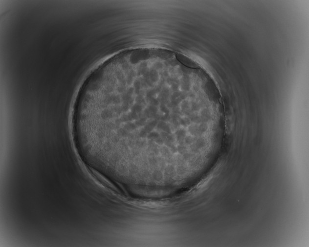 X0000087750995200705291029