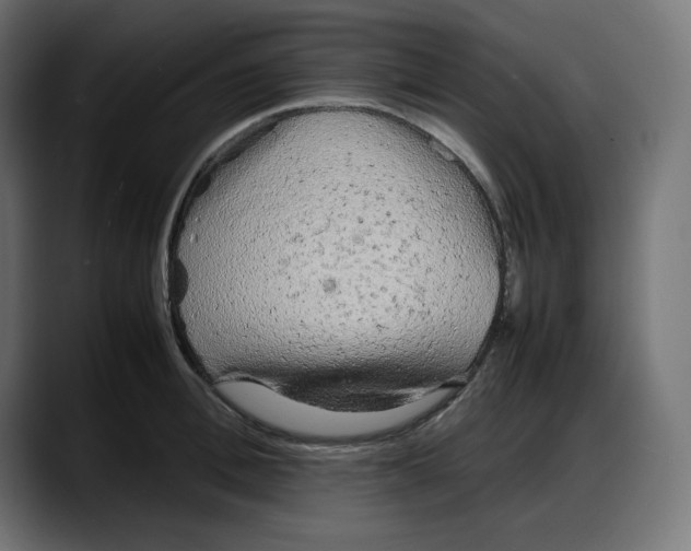 X0000087750996200705291029