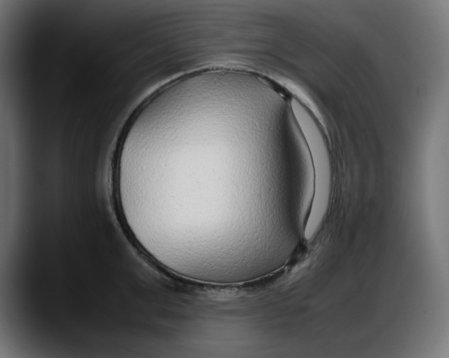 X0000087750999200705291029