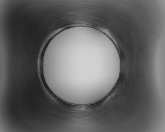 X0000087751003200705291029