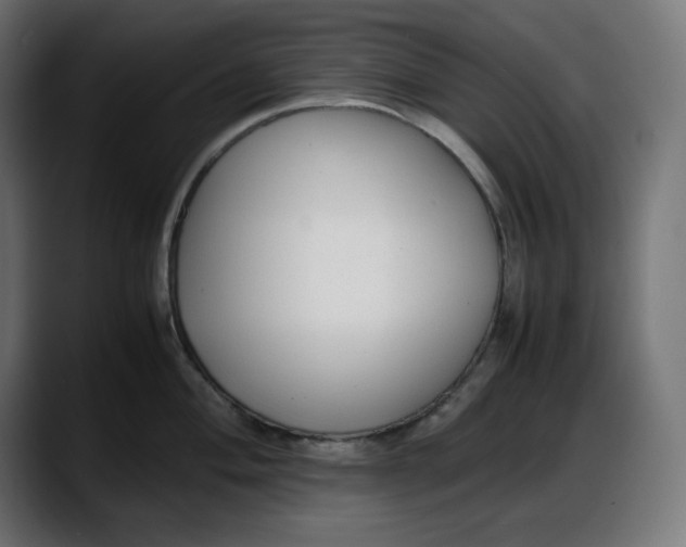 X0000087751004200705291029