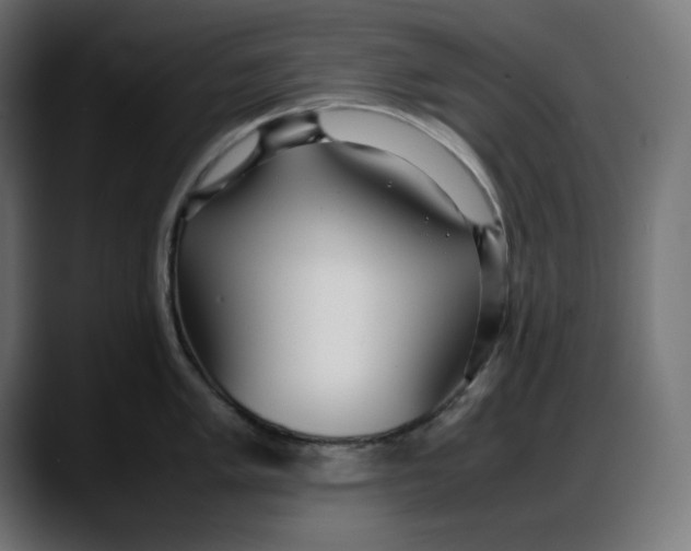 X0000087751005200705291029