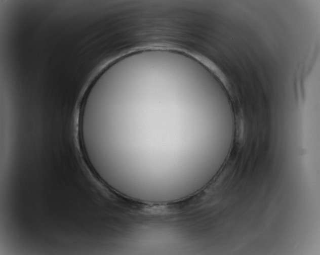 X0000087751006200705291029