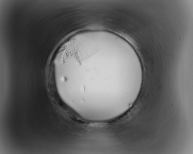 X0000087751008200705291029