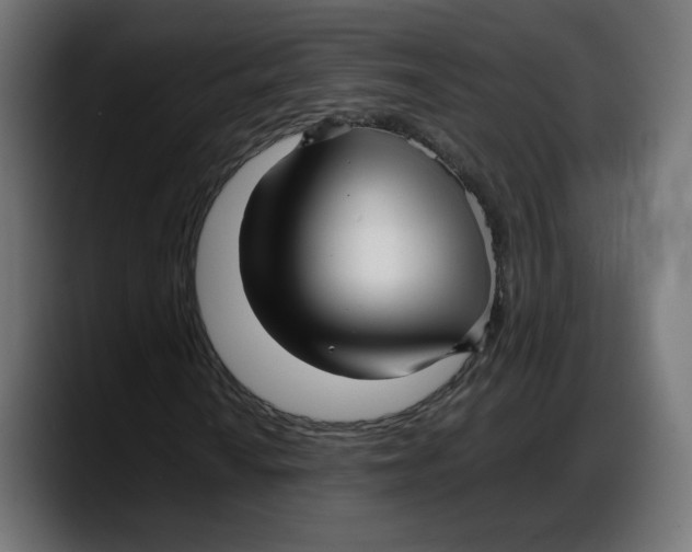 X0000087751010200705291029