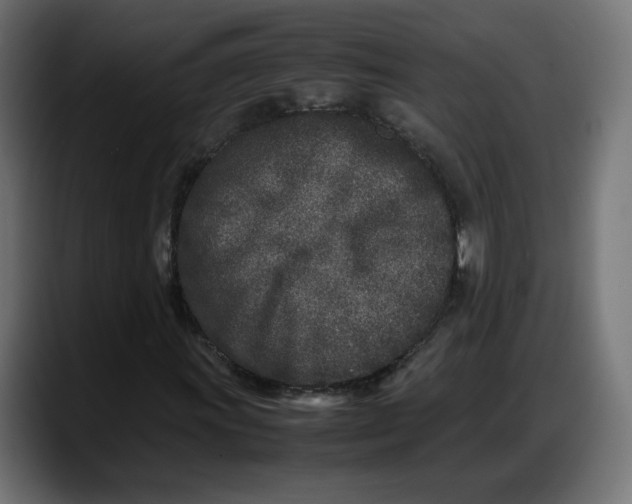 X0000087751011200705291029