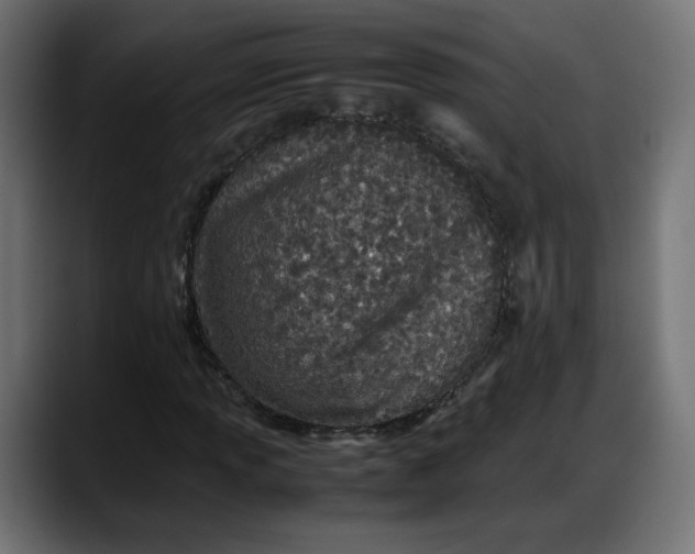 X0000087751013200705291029