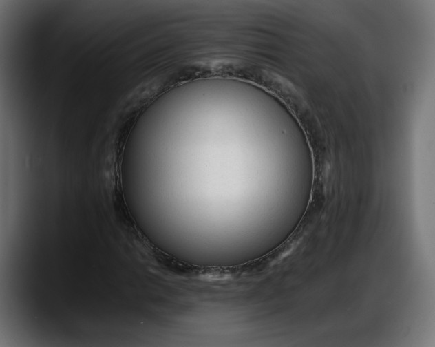 X0000087751014200705291029