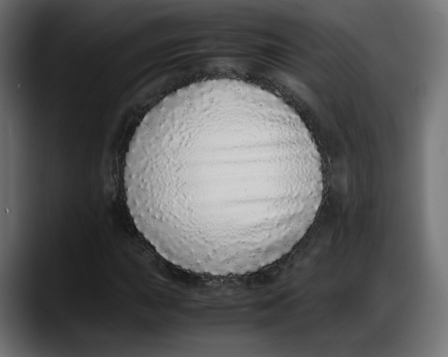 X0000087751015200705291029