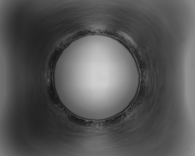 X0000087751016200705291029