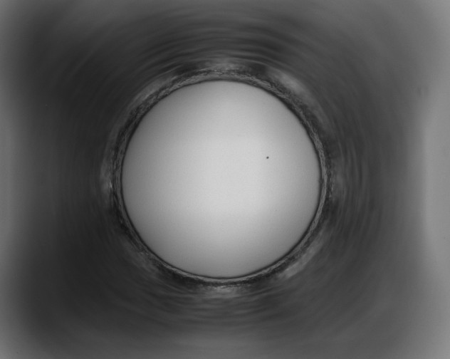 X0000087751017200705291029