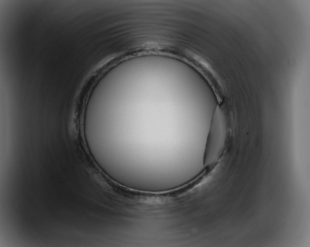 X0000087751018200705291029