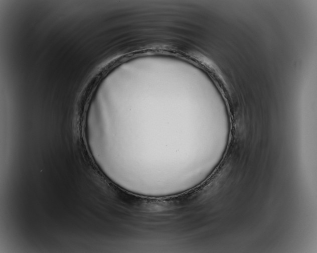 X0000087751019200705291029