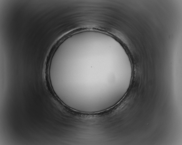 X0000087751020200705291029