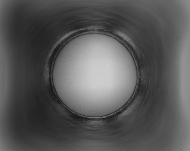 X0000087751021200705291029