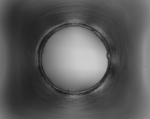 X0000087751022200705291029