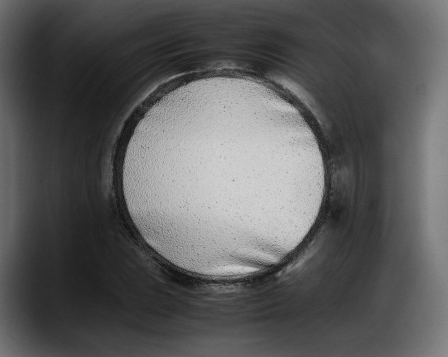 X0000087751023200705291029