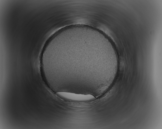 X0000087751024200705291029