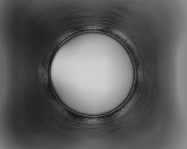 X0000087751025200705291029