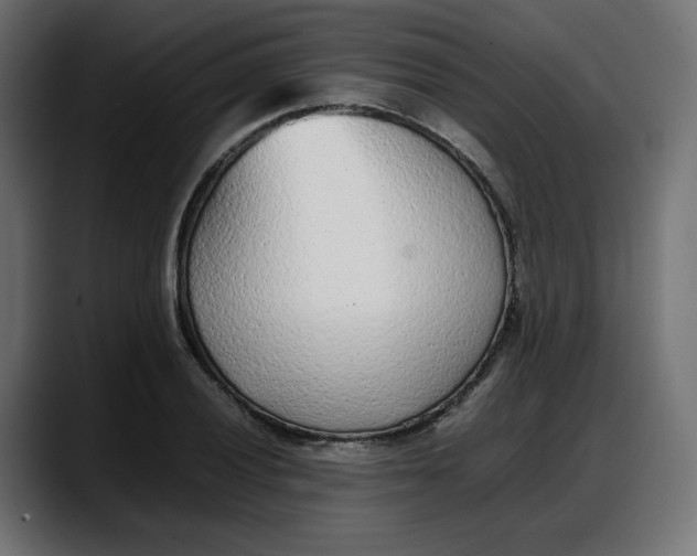 X0000087751028200705291029