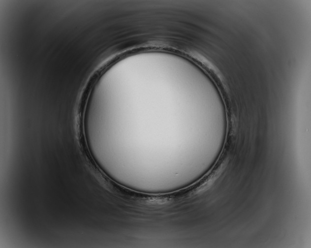 X0000087751029200705291029