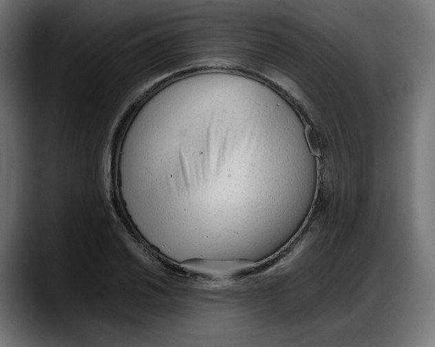 X0000087751030200705291029