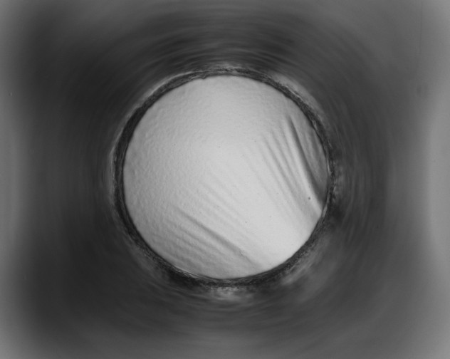 X0000087751031200705291029