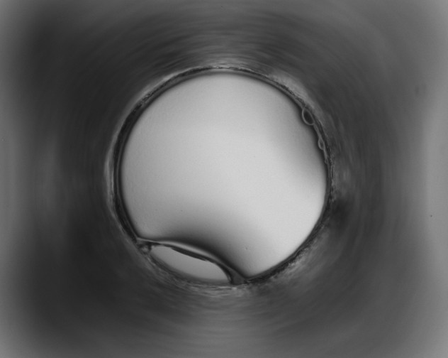 X0000087751032200705291029