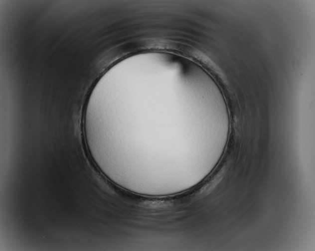 X0000087751033200705291029