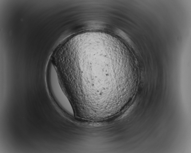 X0000087751034200705291029