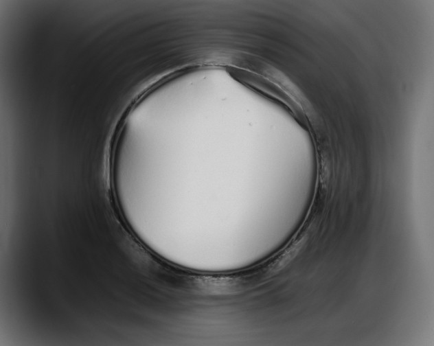 X0000087751036200705291029